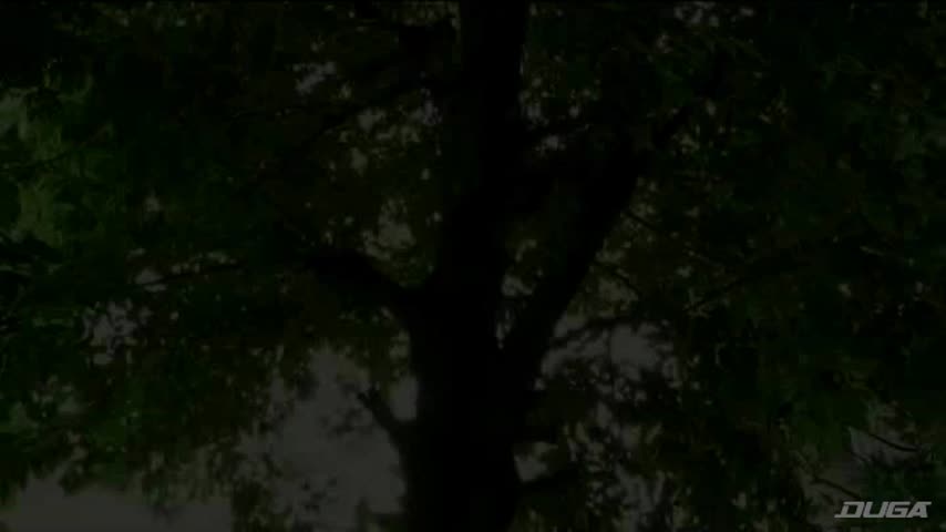 獣道一直線 現役巨乳仲居アナル飼育 大村詩織