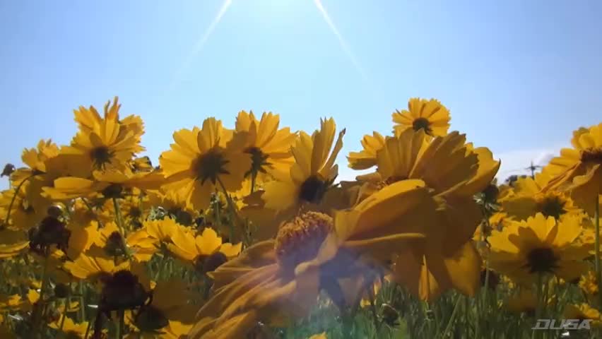 一般男女モニタリングAV 素人父娘が温泉で素股体験!