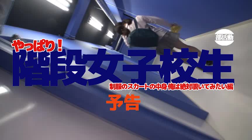 階段女子○生 スカートの中身俺は絶対覗いてみたい編