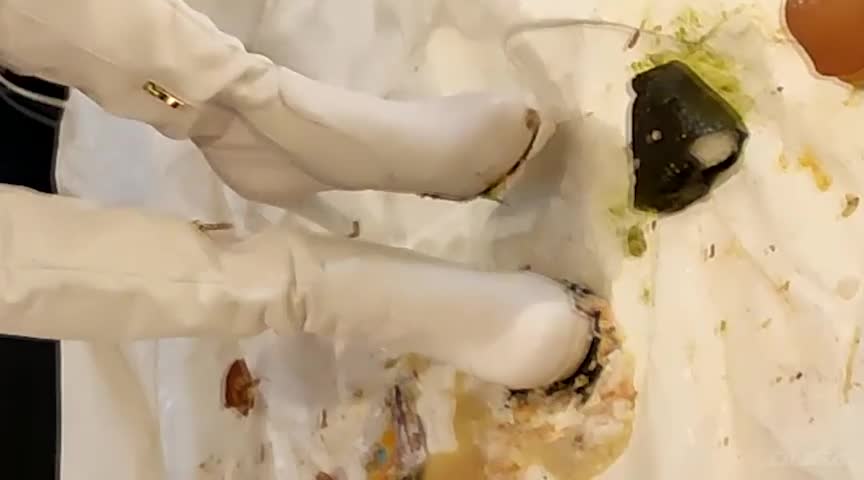 めいちゃんのカラーガードコスプレでフードCRUSH