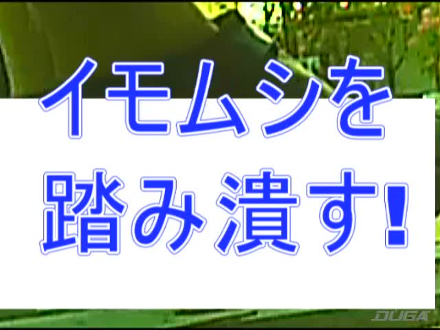 女子大生のヒールやスニーカーがイモムシを踏み潰す！