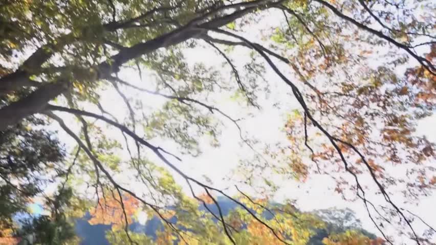 本当にあった全裸旅館4 松坂美紀