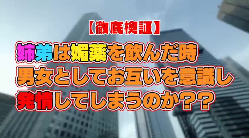 奥手の童貞弟と優しい姉がHなミッションに挑戦したら