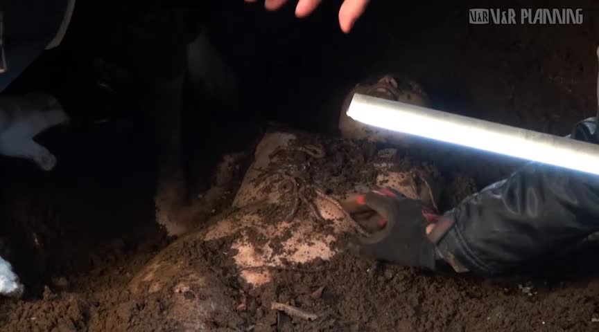 メイキングオブ 糞 感染 パンデミック