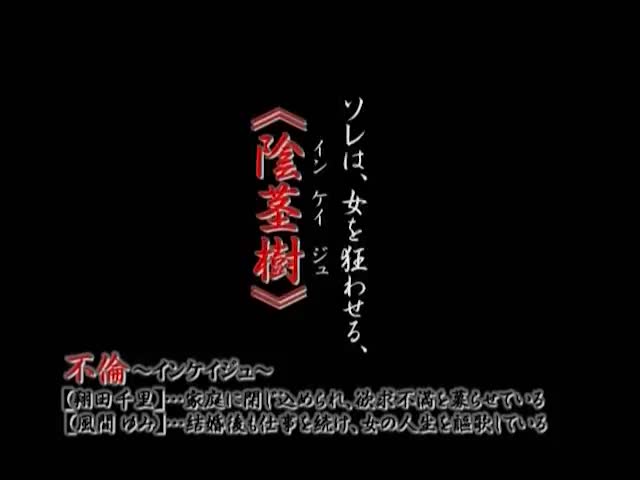 不倫 インケイジュ